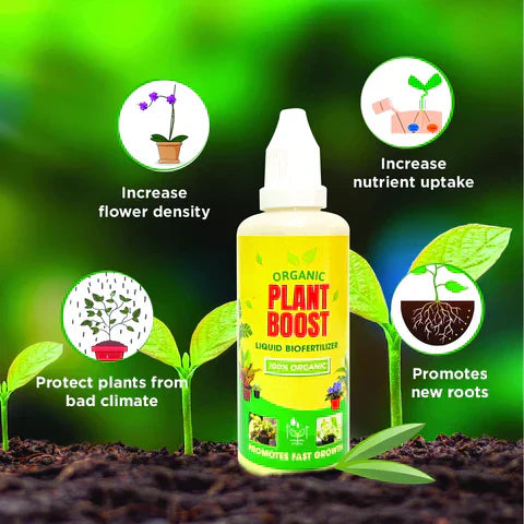 What is Biofertilizer and Why Every Farmer Should Use It?