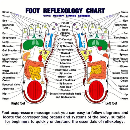 SC™ Foot Reflexology Socks with Massage Stick